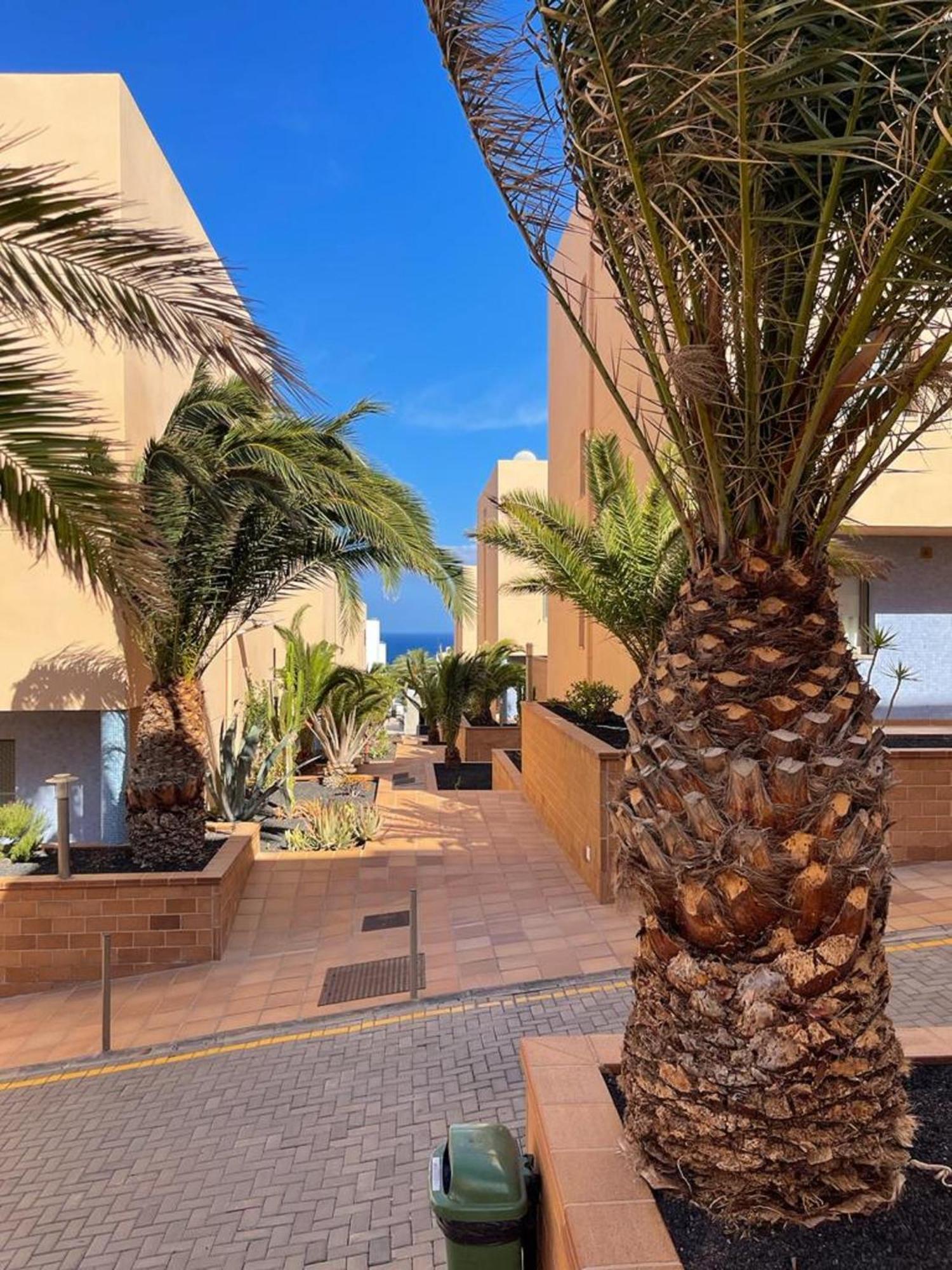 Casa Reina Apartment Playa Jandia Екстериор снимка